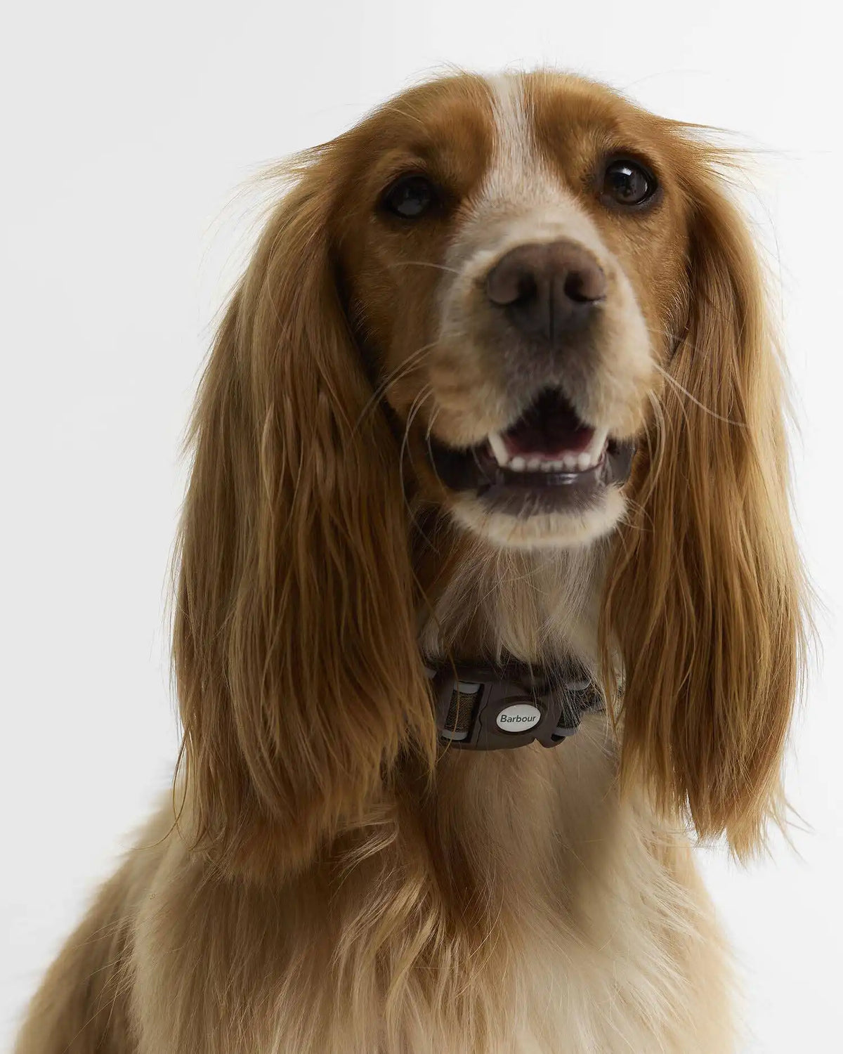 Reflective Tartan Dog Collar