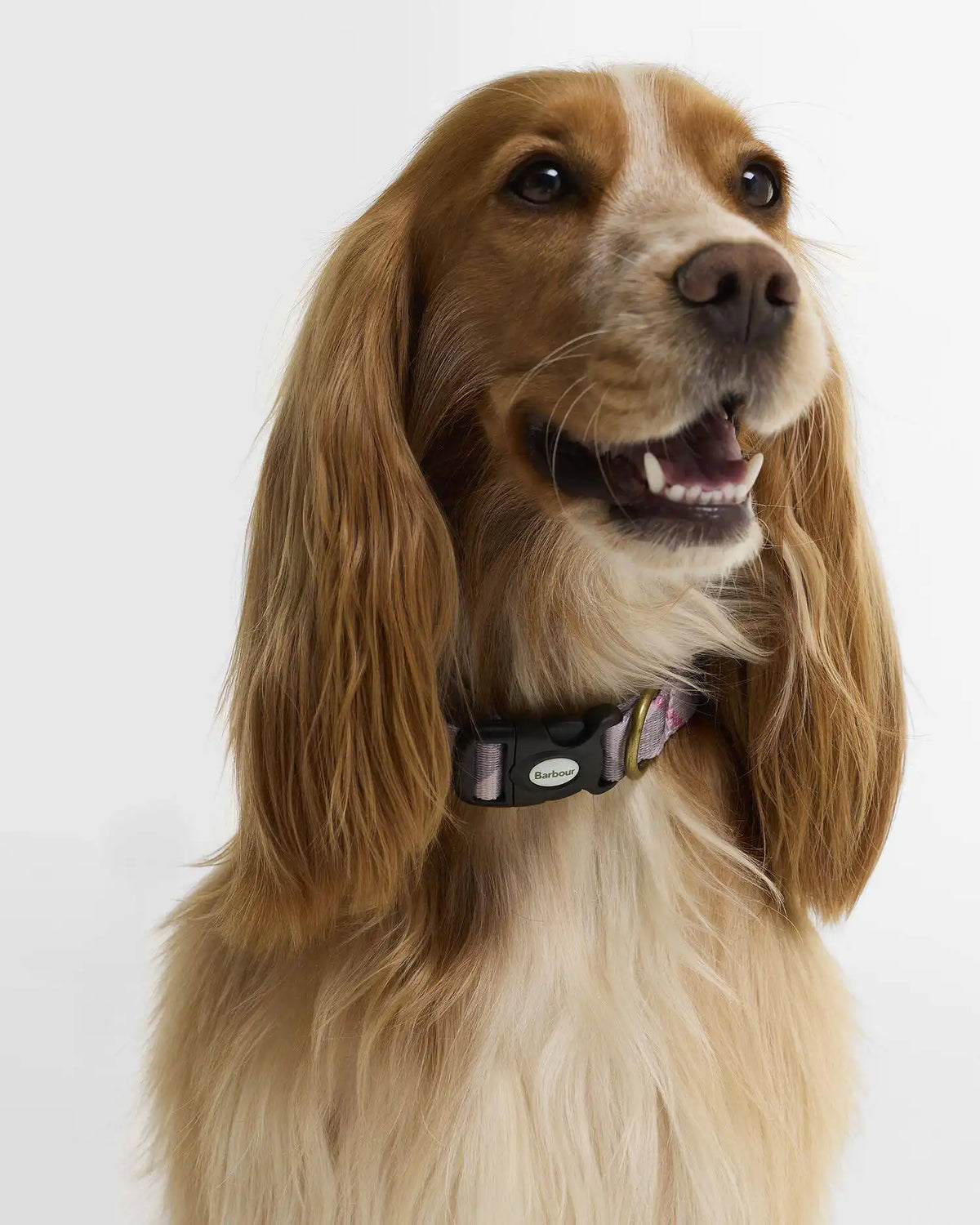 Tartan Printed Dog Collar