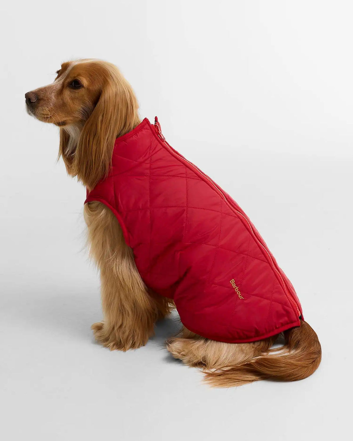 Field Reversible Dog Coat