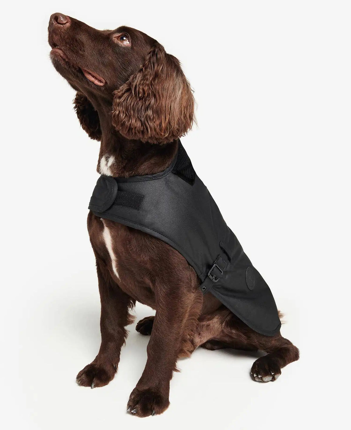 Waxed Dog Coat