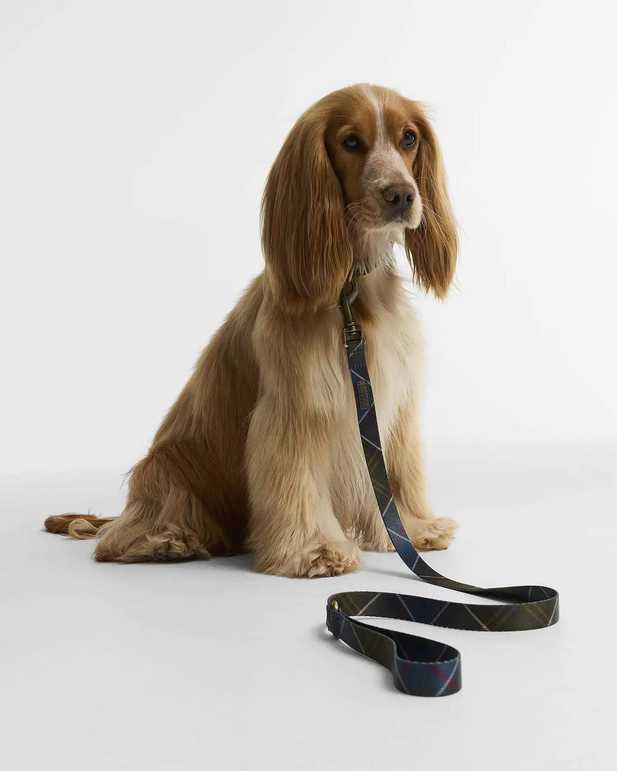 Tartan Printed Dog Lead