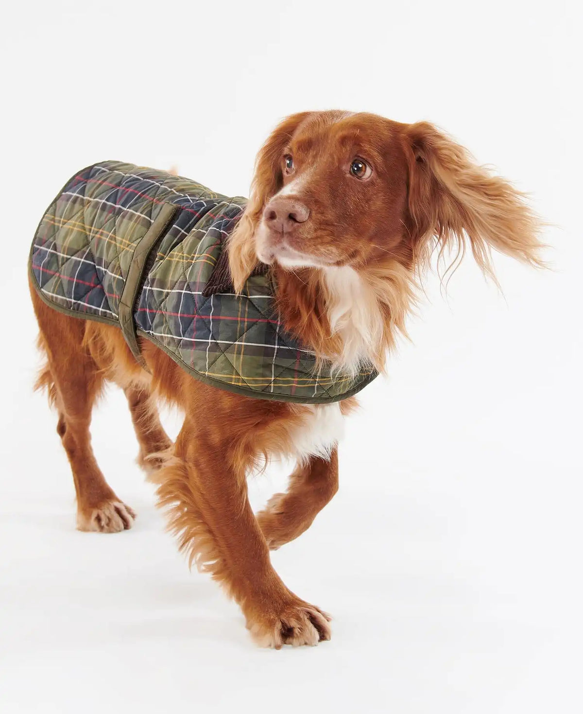 Tartan Dog Coat