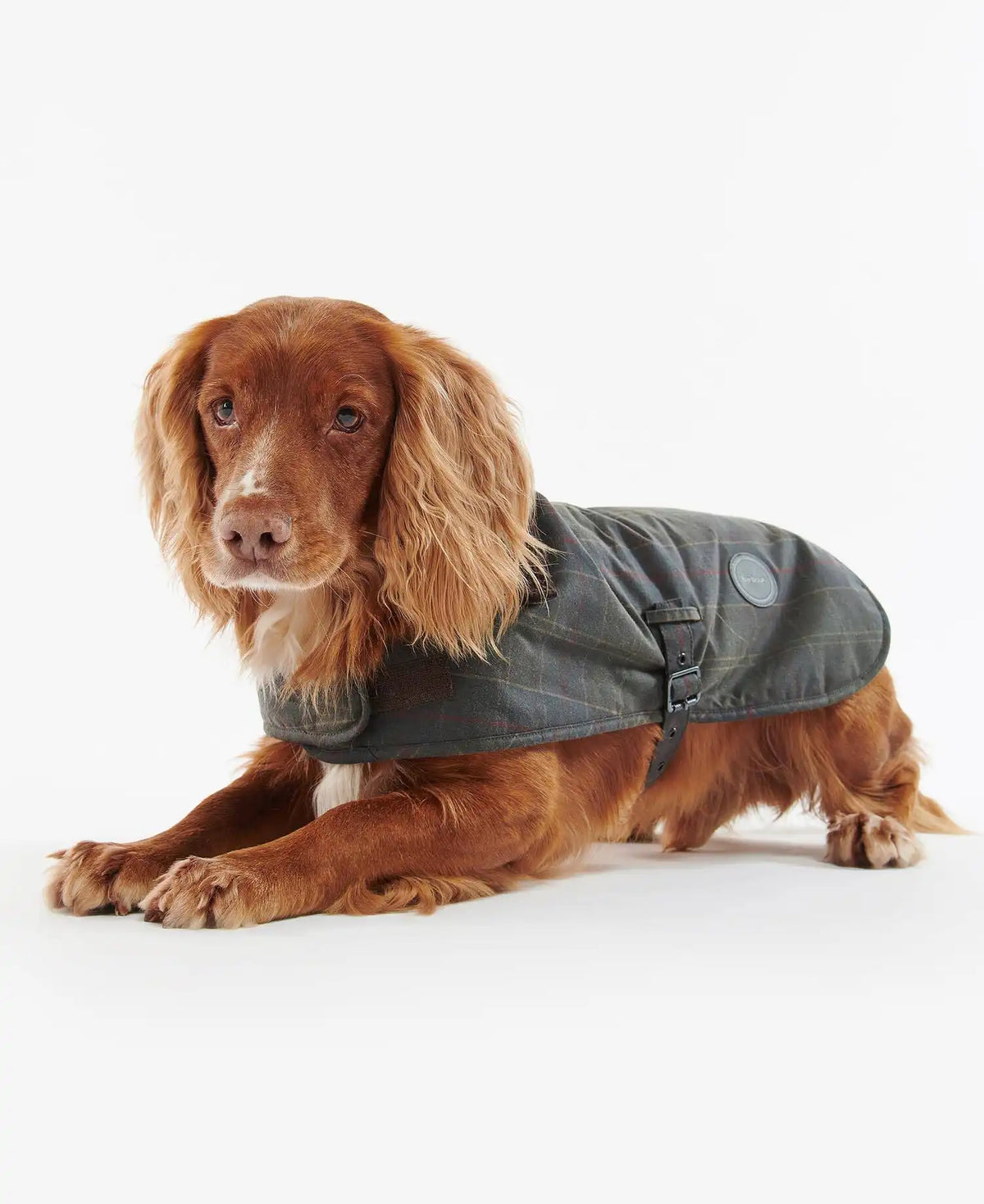 Tartan Waxed Dog Coat