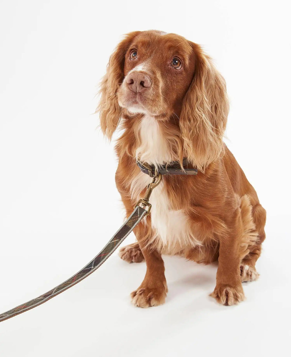 Reflective Tartan Dog Lead