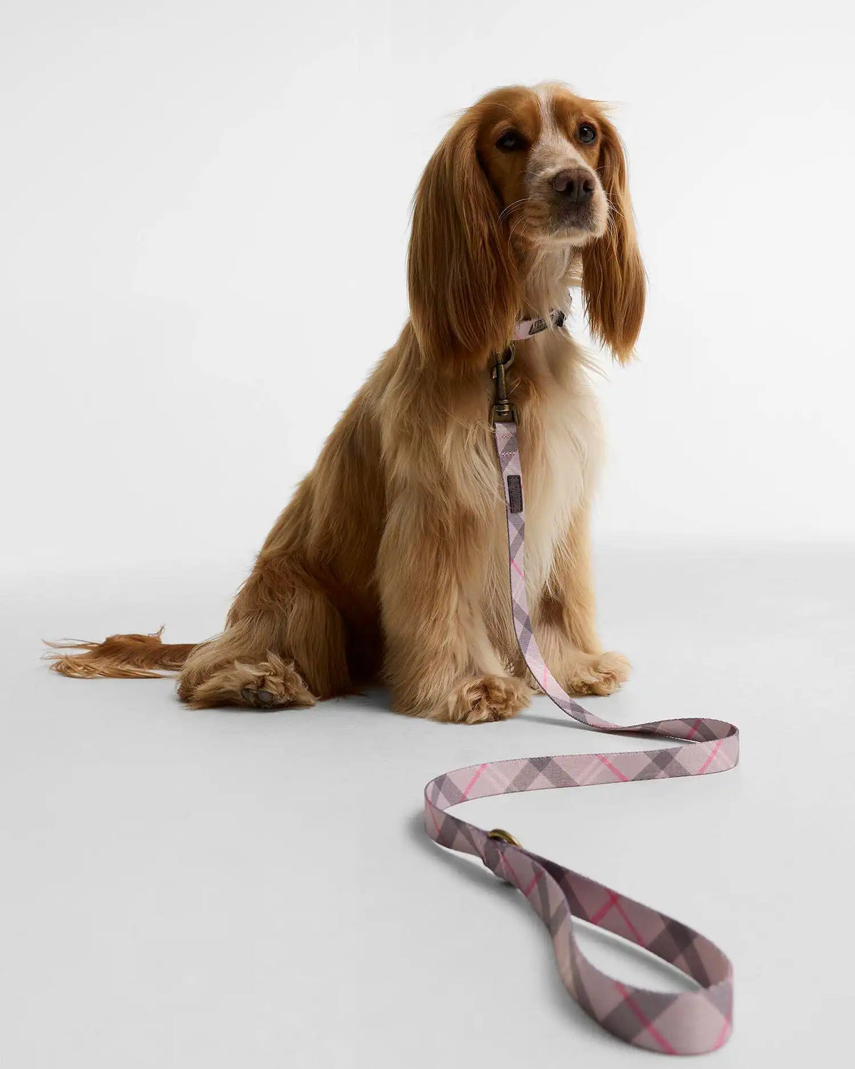 Tartan Printed Dog Lead