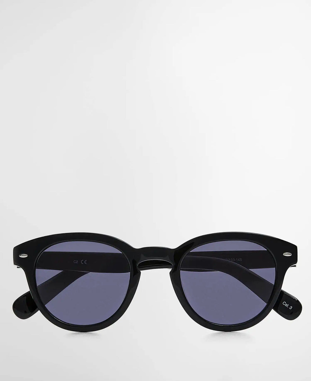 Classic Panto Sunglasses