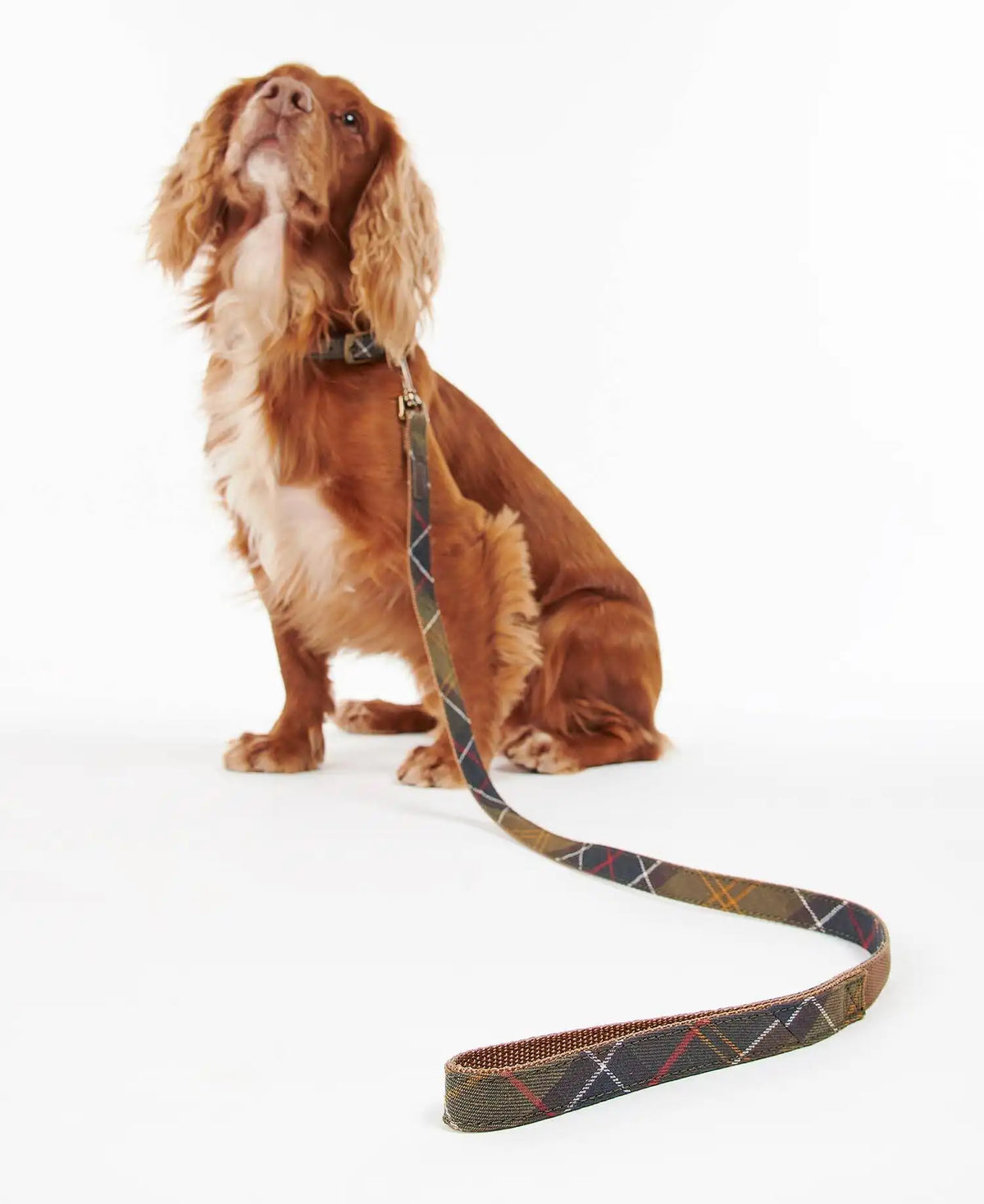 Tartan Webbing Dog Lead