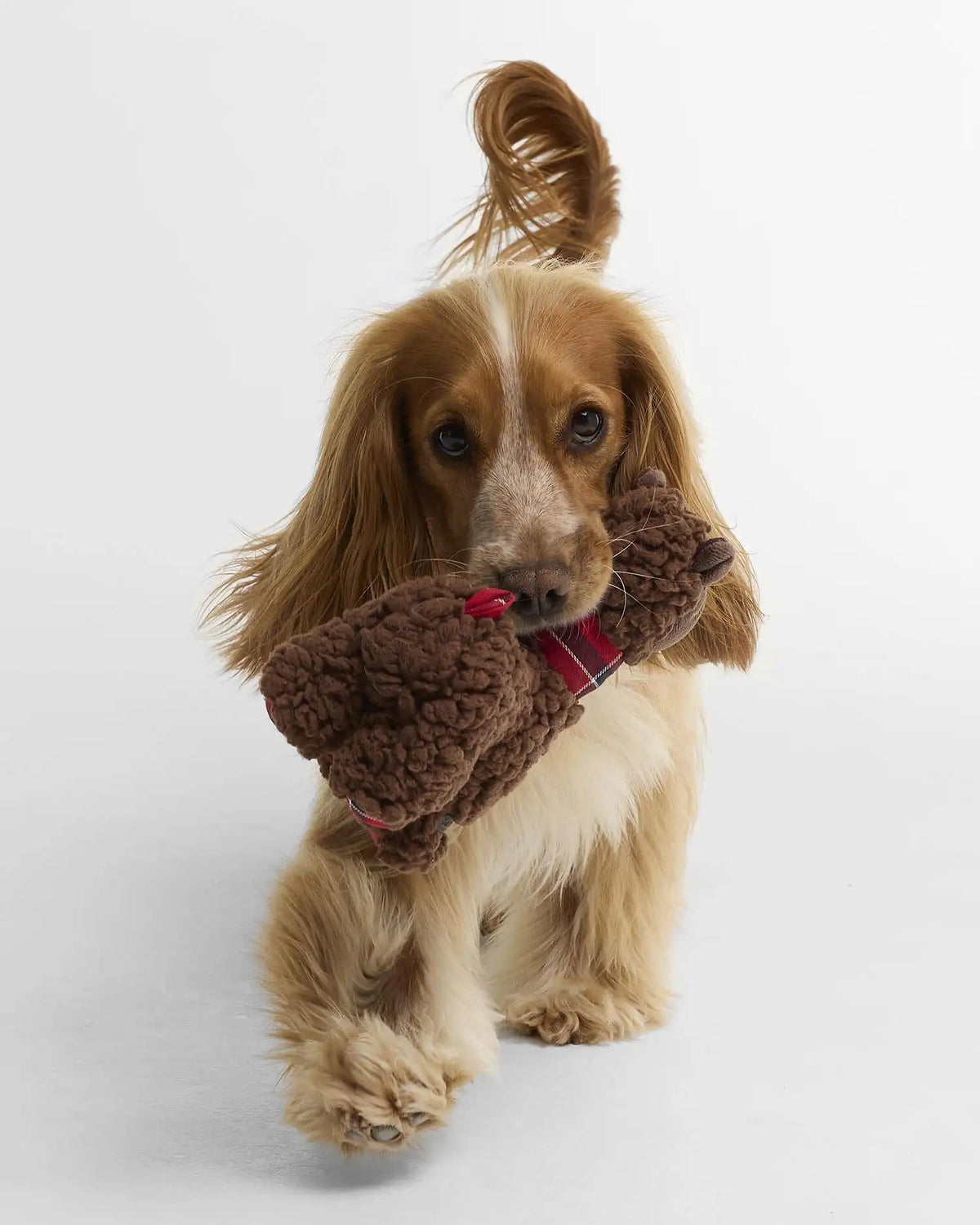 Llama Dog Toy