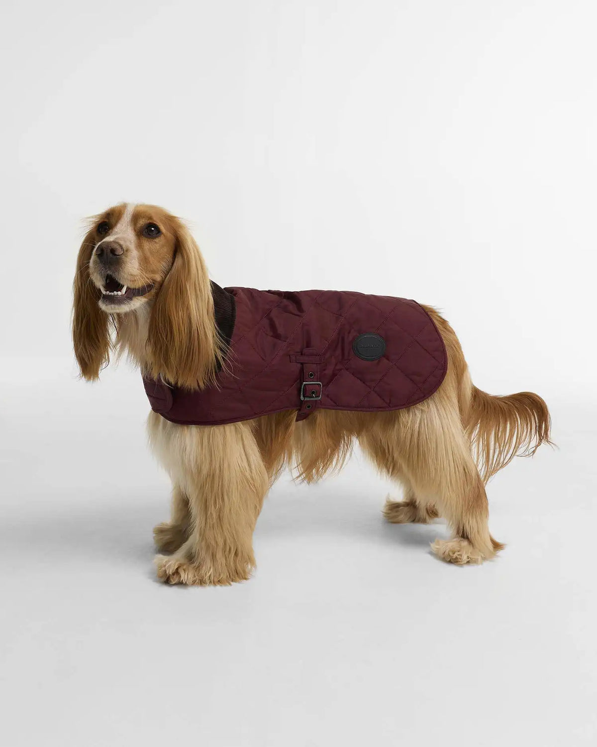 Quilted Dog Coat