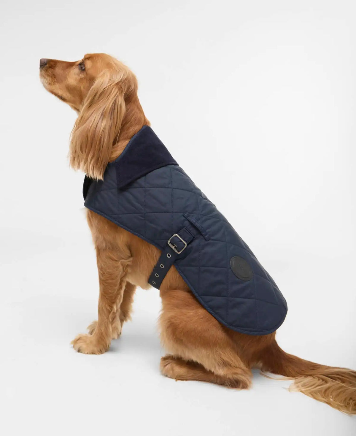 Quilted Dog Coat