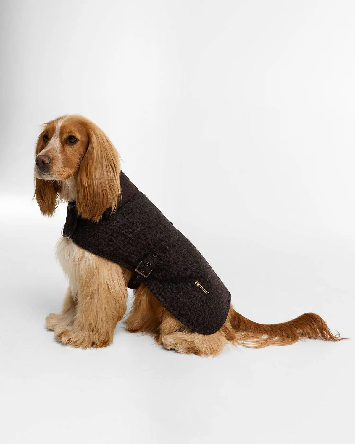 Barlow Tweed Dog Coat