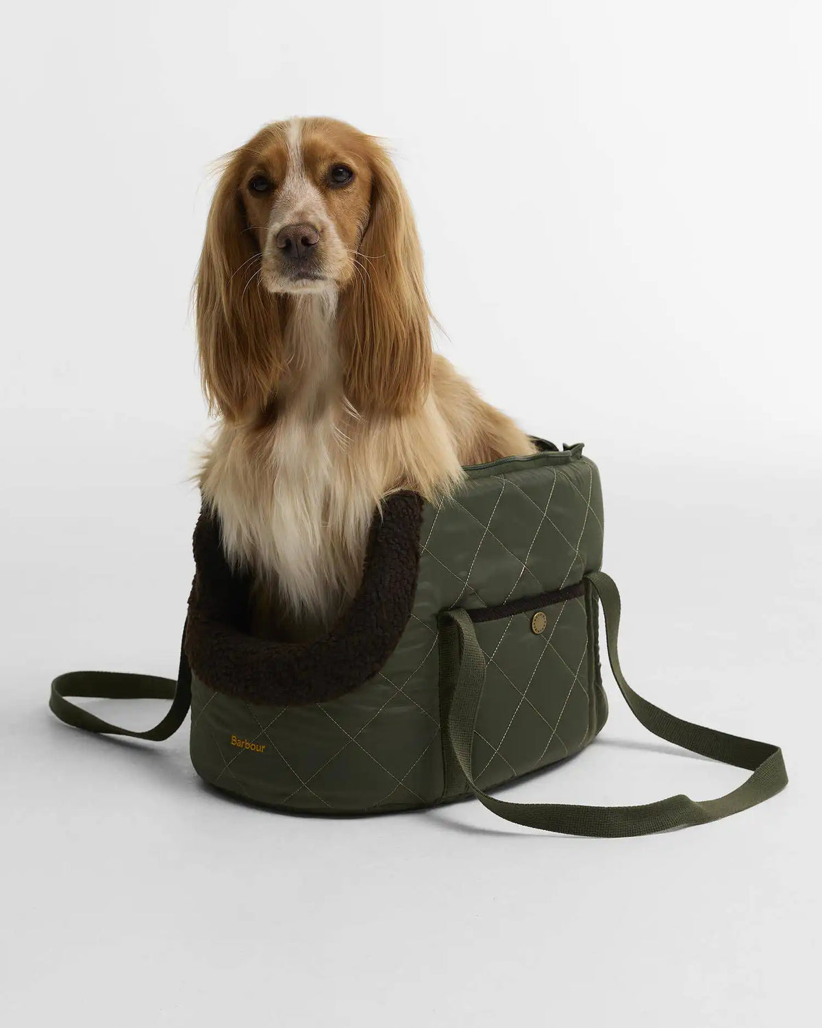 Small Quilted Dog Carrier