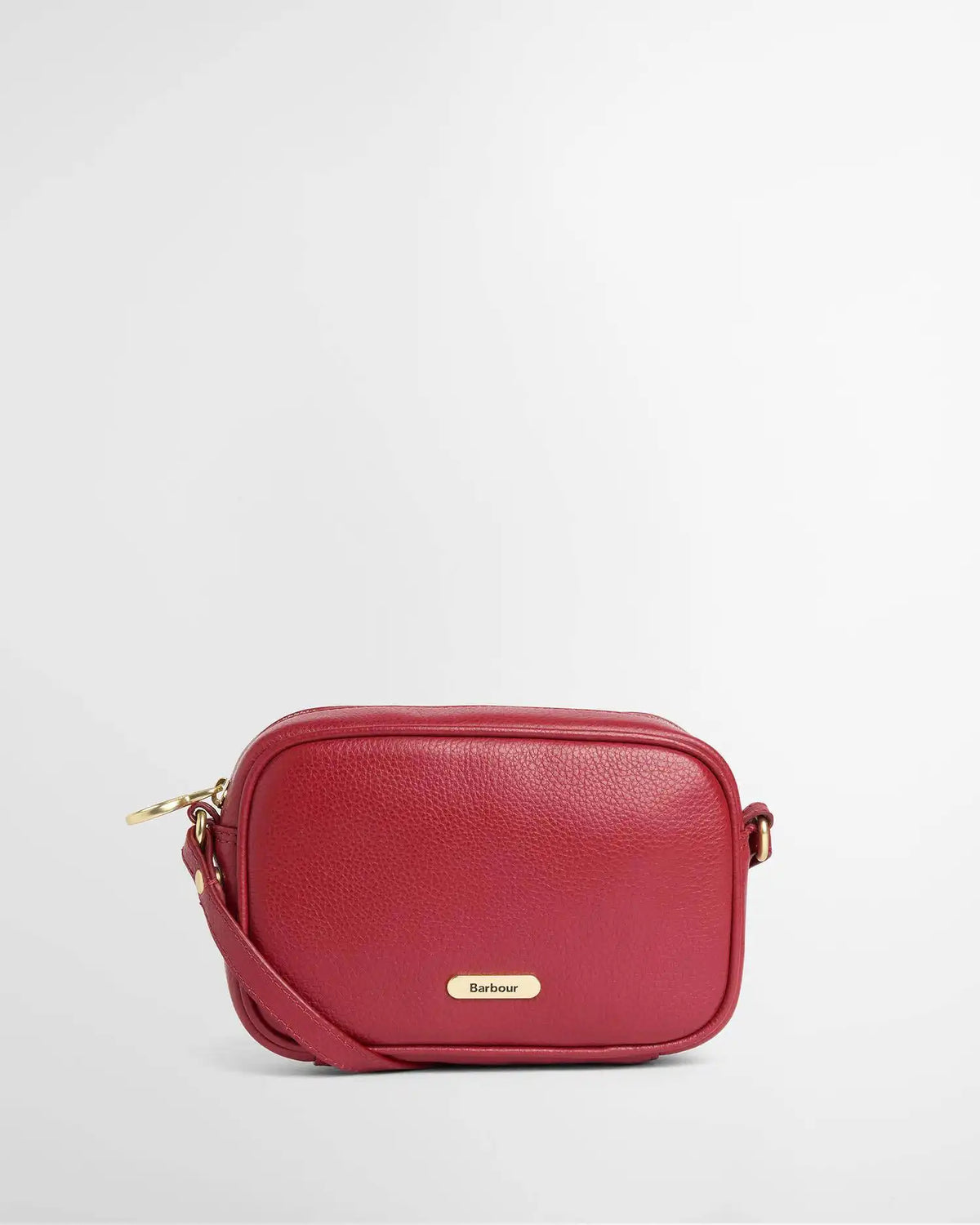 Daphne Mini Leather Crossbody Bag